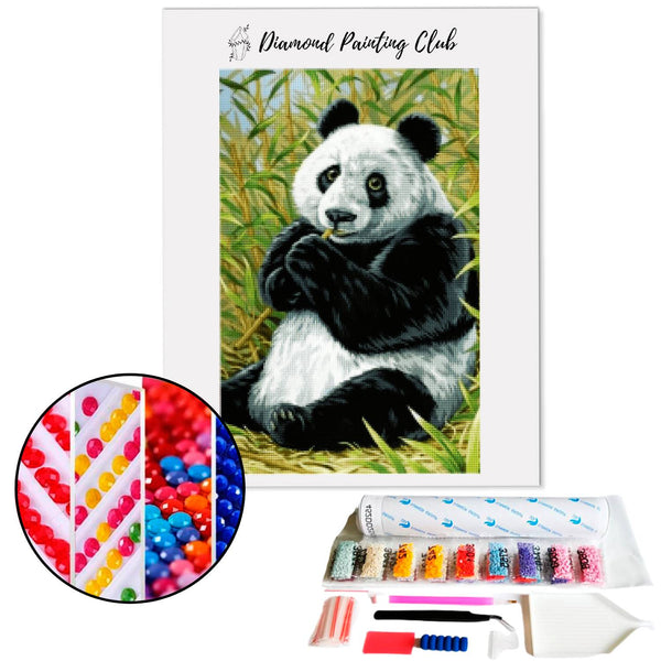 Diamond Painting Panda Eenvoudig | Diamond-painting-club.nl