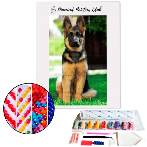 Diamond Painting Duitse Herder | Diamond-painting-club.nl