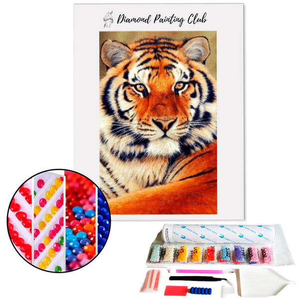 Diamond Painting Bengaalse Tijger | Diamond-painting-club.nl