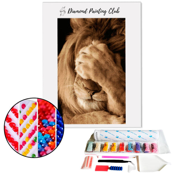 Diamond painting Leeuw die zich verbergt met zijn poot | Diamond-painting-club.nl