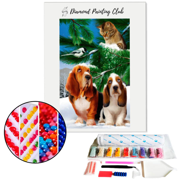 Diamond painting Basset hound en kat | Diamond-painting-club.nl