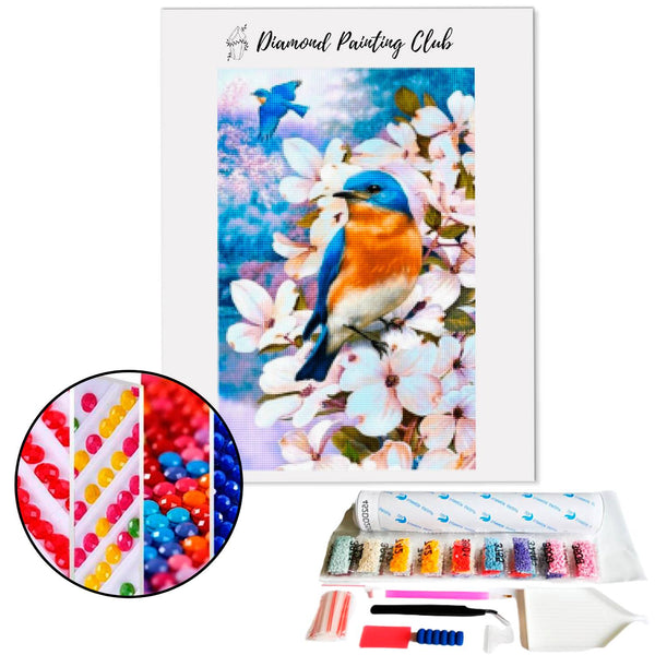 Diamond Painting IJsvogel en witte bloemen | Diamond-painting-club.nl