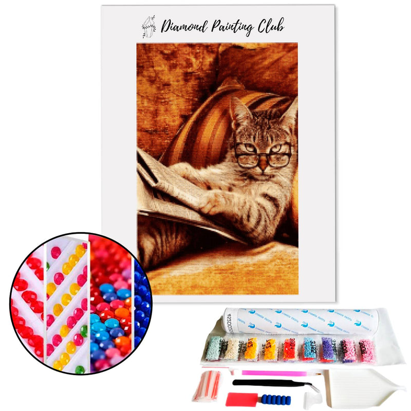 Diamond Painting Kat & Dagboek | Diamond-painting-club.nl