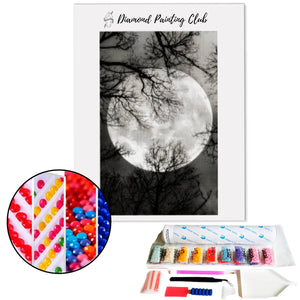 Diamond Painting Lugubere Maan | Diamond-painting-club.nl