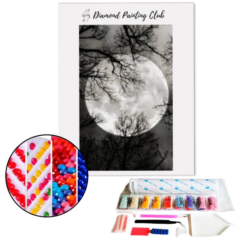 Diamond Painting Lugubere Maan | Diamond-painting-club.nl