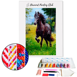 Diamond Painting Zwarte Galopperende Paard | Diamond-painting-club.nl