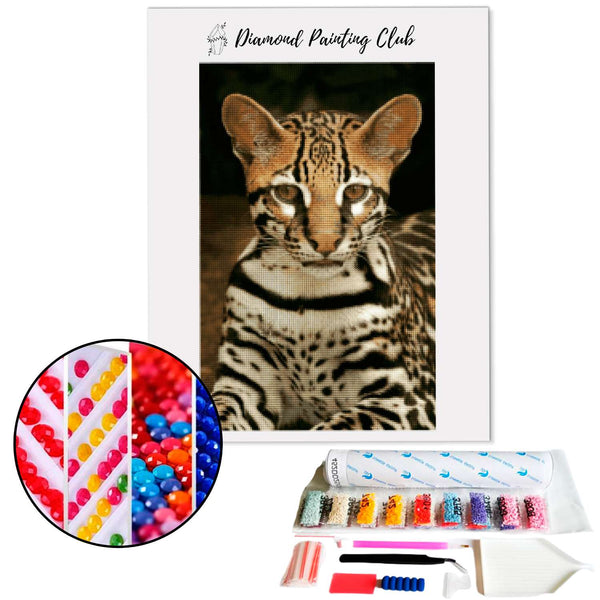 Diamond Painting Bengal | Diamond-painting-club.nl