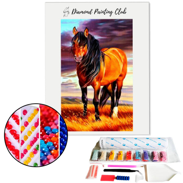 Diamond Painting Wilde Paard | Diamond-painting-club.nl