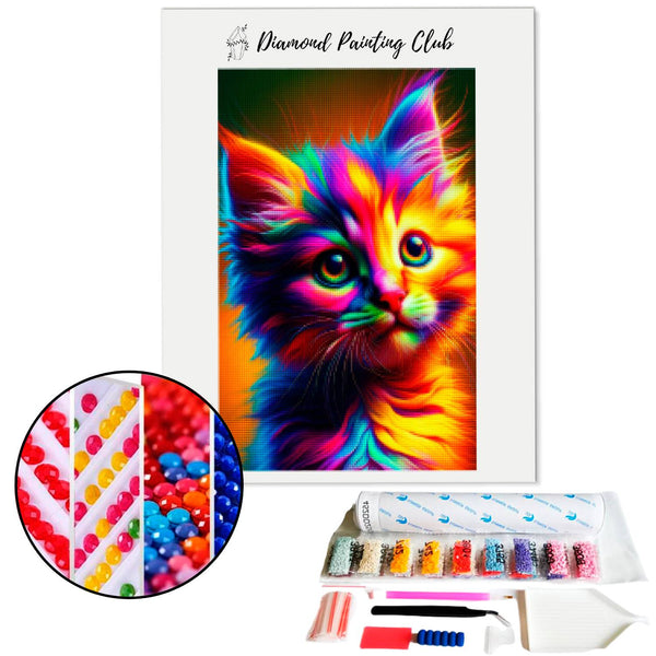 Diamond Painting Meerkleurige Kitten | Diamond-painting-club.nl