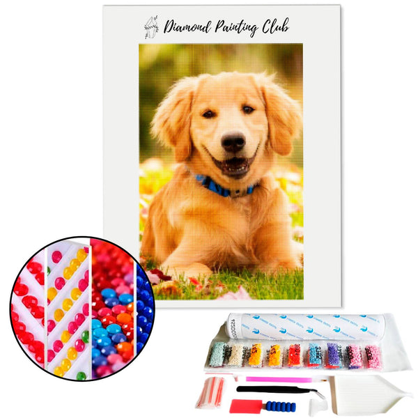 Diamond Painting Labrador Pupje | Diamond-painting-club.nl