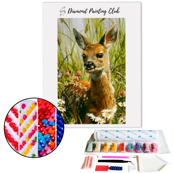 Diamond Painting Daim | Diamond-painting-club.nl