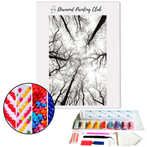 Diamond Painting Zwarte en Witte Boom | Diamond-painting-club.nl