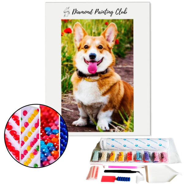 Diamond painting Corgi | Diamond-painting-club.nl