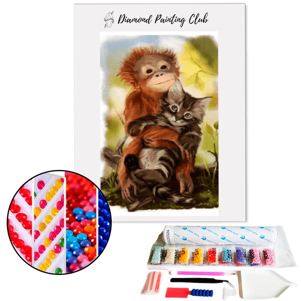 Diamond painting Orang-oetan & Kitten | Diamond-painting-club.nl